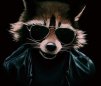Аватар пользователя adminw0rld