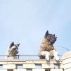 Аватар пользователя Кай