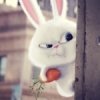 Аватар пользователя juragan