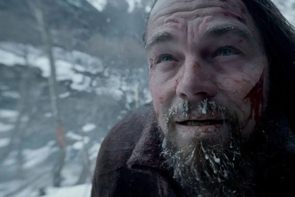 Фильмы про выживание в лесу