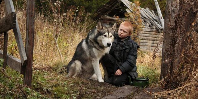 Фильмы о тайге