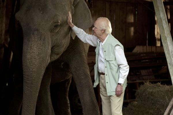 Фильмы и сериалы на все случаи жизни от Кинокрад