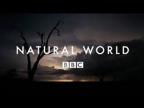 Фильмы bbc про природу