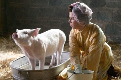 Фильмы о животных