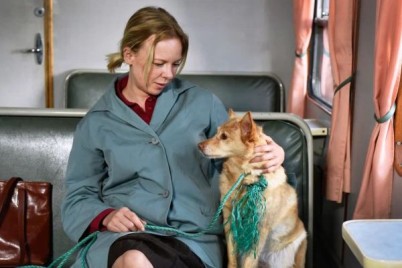 ТОП лучших фильмов 2023 года по версии журнала Time