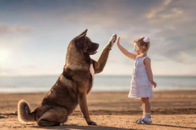 Фильмы про собак для детей