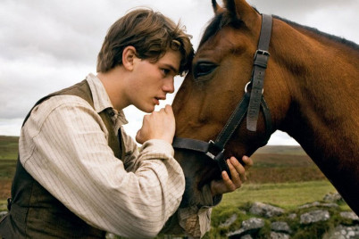 Фильмы про лошадей