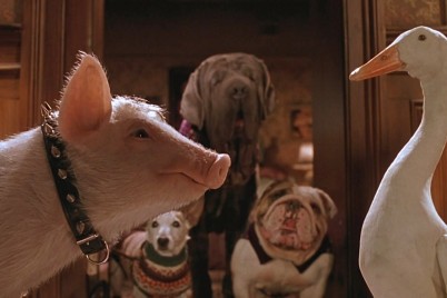 Фильмы про животных семейные