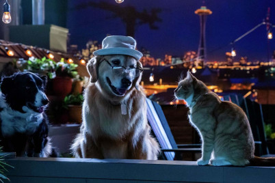 Фильмы про собак