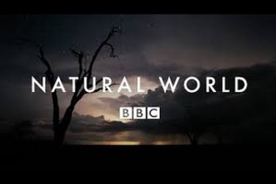 Фильмы bbc про природу