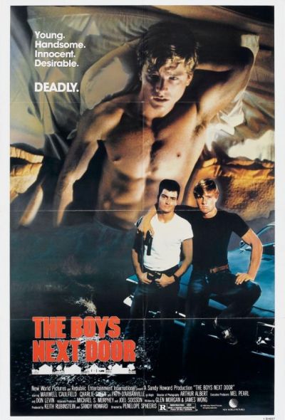 Соседские мальчишки (1985) Соседские мальчишки (1985)