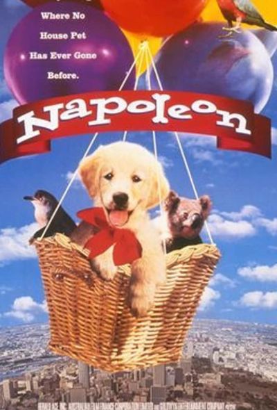 Наполеон (1999)