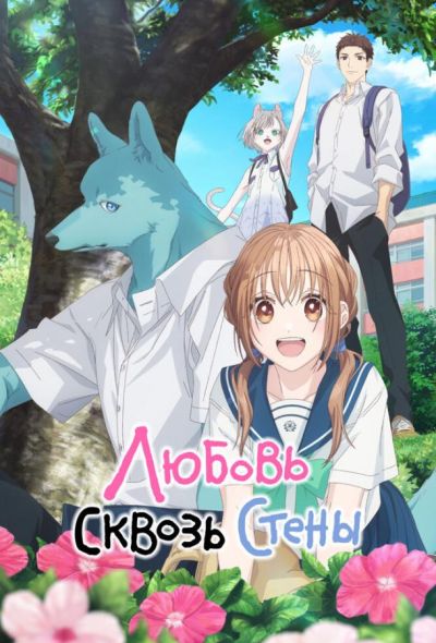 Любовь сквозь стены / Пересечение стен любви с тобой (2025) Любовь сквозь стены / Пересечение стен любви с тобой (2025)