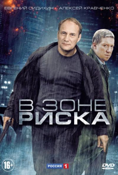 В зоне риска (2013)