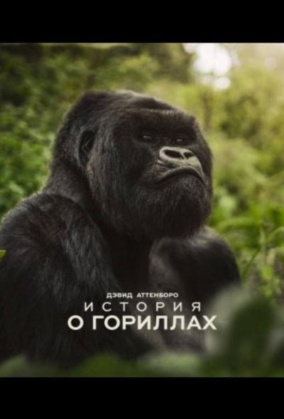 Дэвид Аттенборо. История о гориллах (2026)