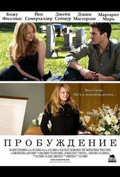 Пробуждение (2009)
