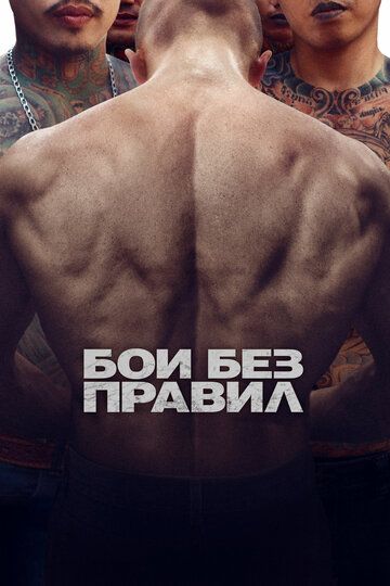 Бои без правил (2018)