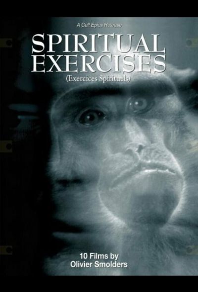 Любитель (1996)