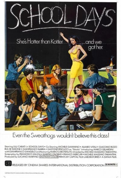 Учительница естественных наук (1976)