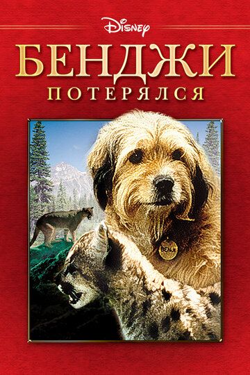 Погоня за Бенджи (1987) Погоня за Бенджи (1987)