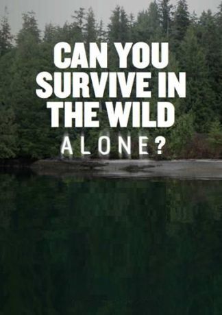 В изоляции (2015)