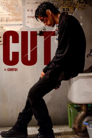 Снято! (2012)