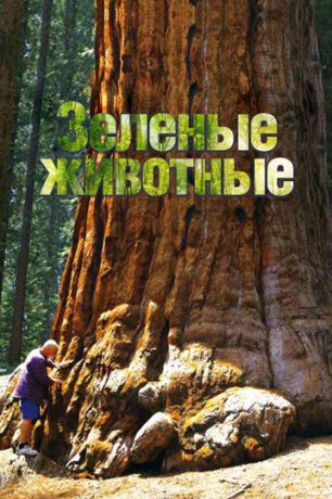 Зелёные животные (2015)