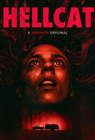 Кошка в мышеловке (2025)