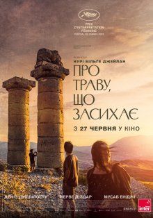 О засыхающей траве (2024)