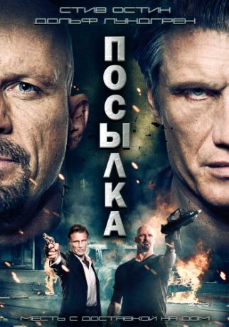 Посылка (2013)