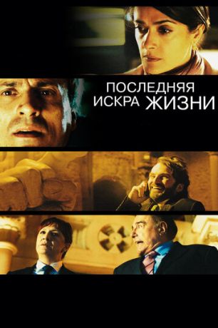 Последняя искра жизни (2012)