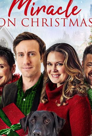 Рождественское чудо (2020)