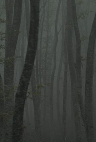 Убежище 2: ледяная тропа (2018)