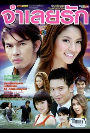 В плену любви (2008)