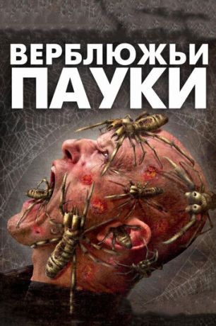 Верблюжьи пауки (2011)