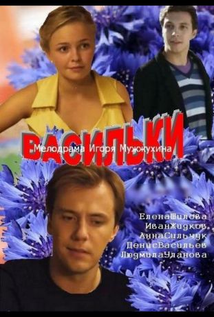 Васильки (2013)