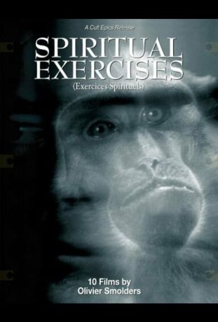 Любитель (1996)