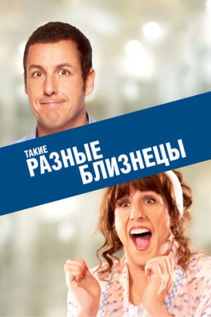 Такие разные близнецы (2012)