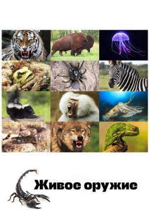 Живое оружие (2016)