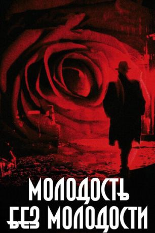 Молодость без молодости (2008)