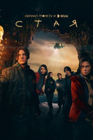 Стая сериал (2022)