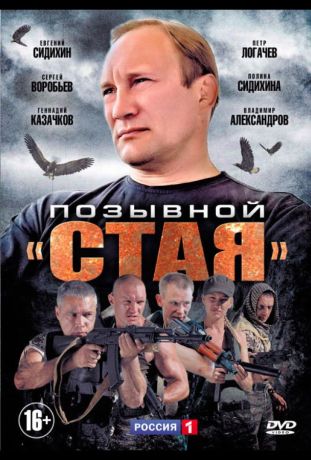Позывной «Стая» (2013)