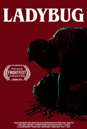 Божья коровка