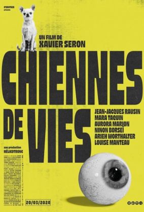 Жизнь - сука