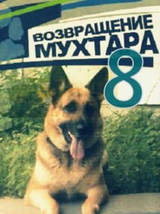Возвращение Мухтара 8