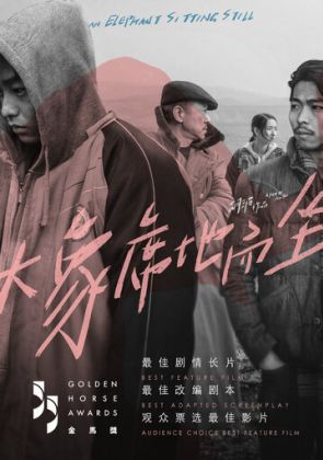 Слон сидит спокойно