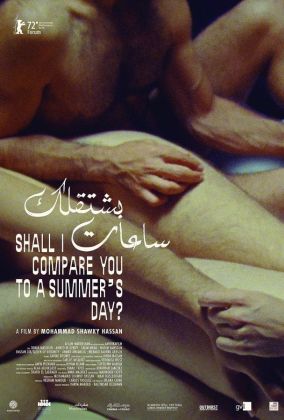 Должен ли я сравнить тебя с солнечным днём?