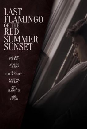 Последний фламинго красного летнего заката