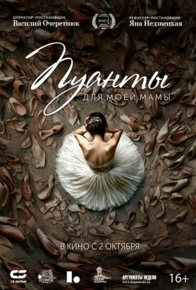 Пуанты для моей мамы