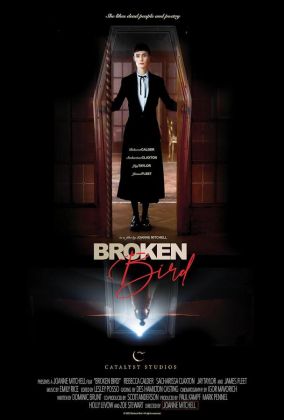 Сломанная птица